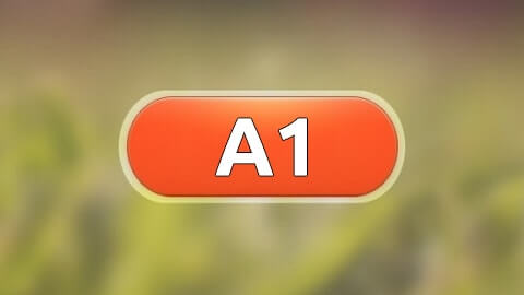 a1