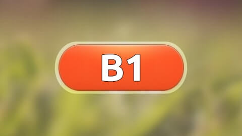 b1